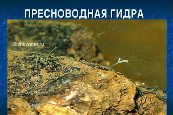 Kraken официальная ссылка tor